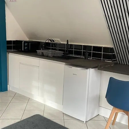 Apartment A L'alsacienne ! Experience Alsacienne A Quelques Minutes De Strasbourg *