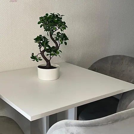 A L'alsacienne ! Experience Alsacienne A Quelques Minutes De Strasbourg Apartment