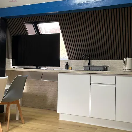 Apartment A L'alsacienne ! Experience Alsacienne A Quelques Minutes De Strasbourg