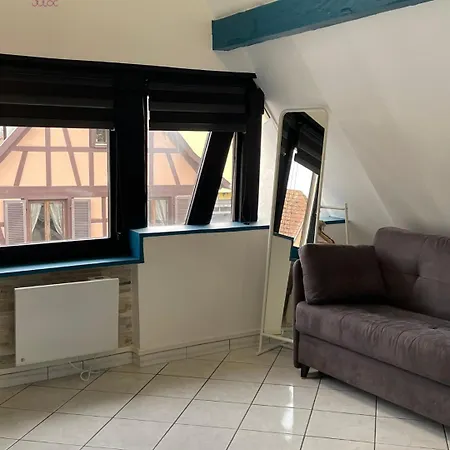 Apartment A L'alsacienne ! Experience Alsacienne A Quelques Minutes De Strasbourg Illkirch-Graffenstaden