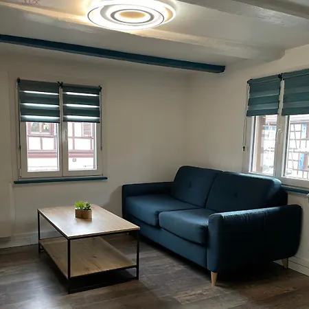A L'alsacienne ! Experience Alsacienne A Quelques Minutes De Strasbourg Apartment