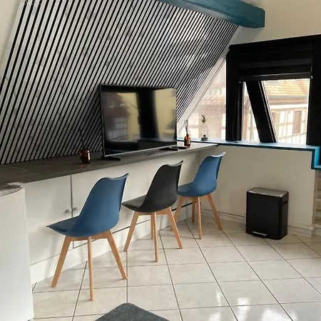 Apartment A L'alsacienne ! Experience Alsacienne A Quelques Minutes De Strasbourg
